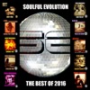 Soulful Evolution the Best Of 2016