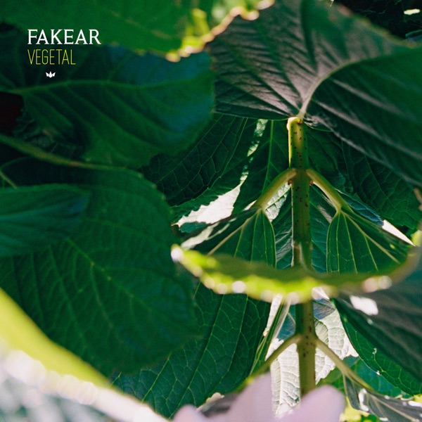 Vegetal: Offshoots - Fakear