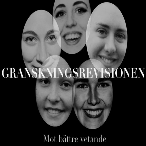 Granskningsrevisionen cover