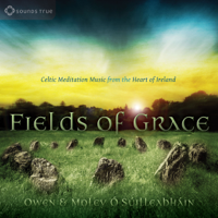Owen & Moley Ó Súilleabháin - Fields of Grace artwork