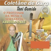 Coletânea de Ouro: Toni Gomide (O Professor da Música Sertaneja Abrindo o Baú) artwork