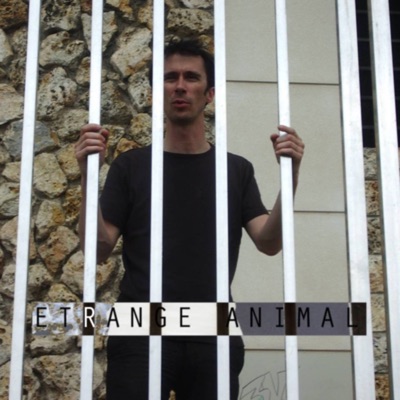 Étrange animal - Andreel