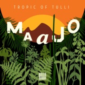 Tropics of Tulli artwork