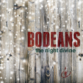 The Night Divine - BoDeans
