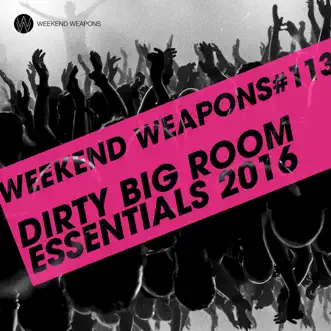 Dirty Big Room Essentials 2016 by Various Artists album reviews, ratings, credits