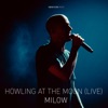 Milow - Howling at the Moon