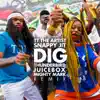 Dig (Thunderbird Juicebox & Mighty Mark Remix) - Single album lyrics, reviews, download
