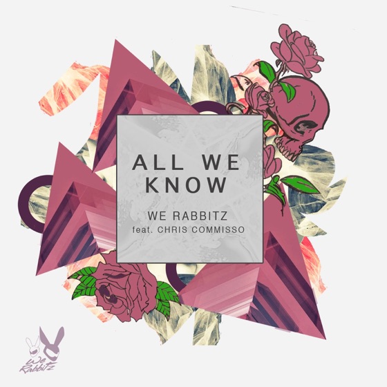 Cover artwork for All We Know (feat. Chris Commisso)