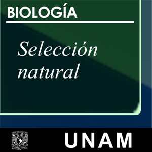 Selección Natural