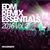 EDM Remix Essentials, Vol. 2, 2016