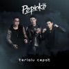 Terlalu Cepat - Single