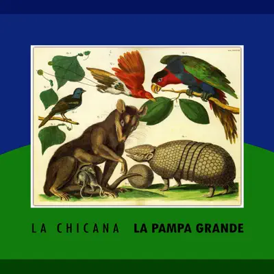 La Pampa Grande - La Chicana La Pampa Grande - La Chicana