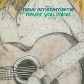The New Amsterdams - Every Double Life