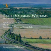 Vaughan Williams: Music for 2 Pianos artwork