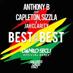 Best of the Best (feat. Capleton, Sizzla & Jah Clarity) [Danilo Seclì Remix] - Single - Anthony B