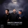 Nimeye Gomshodeh (feat. Ali Pishtaz) - Single
