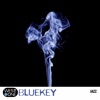 Bluekey artwork