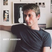 Brett Anderson artwork