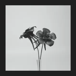 ladda ner album Jlin - Dark Lotus