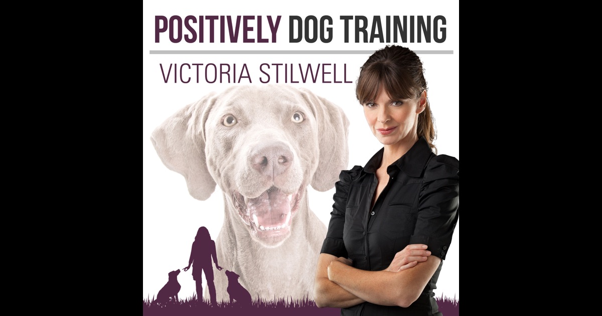 Positively Dog Training The Official Victoria Stilwell