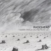 Harry Patch (In Memory Of) artwork