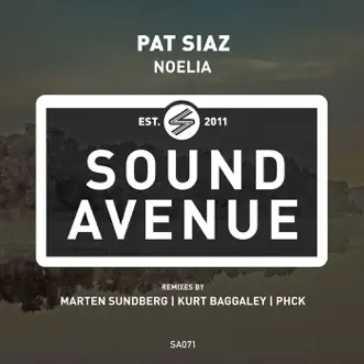 Noelia (PHCK Remix) by Pat Siaz song reviws