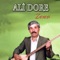 Şahin - Ali Dore lyrics