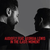 In the (Last) Moment [feat. Georgia Lewis] [Robag's Ponk Pramen NB Remix] artwork