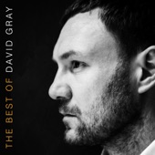 David Gray - Fugitive