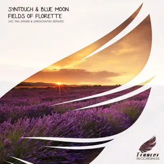 Fields of Florette - Single by Syntouch & Blue Moon album reviews, ratings, credits