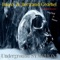 Underground Symphony (with Bertrand Gedehel) - Imaxx lyrics