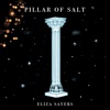 Pillar of Salt - Single, 2017