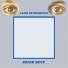 Look at Yourself (Expanded Deluxe Edition)