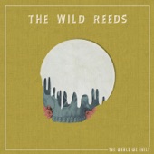 The Wild Reeds - Everything Looks Better (In Hindsight)
