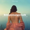 Entspannungsmusik - Wellness Musik und Meditationsmusik, 2017