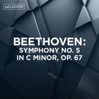 Nicolaus Esterhzy Sinfonia & Bla Drahos - Beethoven: Symphony No. 5 in C Minor, Op. 67 artwork