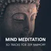 Mind Meditation – 30 Tracks for Zen Harmony, Inner Balance, Soothing Relaxation Music Collective, Focus & Concentrate album lyrics, reviews, download