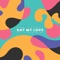 Got My Love (feat. Lyon Hart) - Sam Padrul lyrics