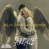Aripile (Alin Dragan Remix) - Single