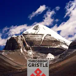Part Two - The Endless Not - Throbbing Gristle Part Two - The Endless Not - Throbbing Gristle