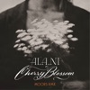Cherry Blossom (Moors Remix) - Single
