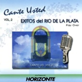 Viento Dile a la Lluvia (Instrumental Version) artwork
