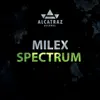 Stream & download Spectrum - Single