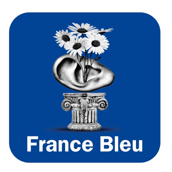 Les experts maison France Bleu Béarn cover