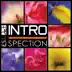 Introspection album cover