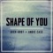 Shape of You - Alex Goot & Andie Case lyrics