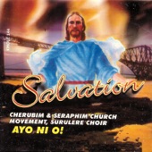 Salvation artwork