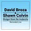 Shotgun Down the Avalanche (Live Version) - Single album lyrics, reviews, download
