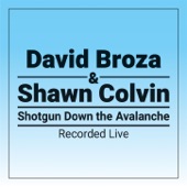 David Broza - Riding Shotgun Down The Avalanche