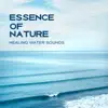 Essence of Nature – Healing Water Sounds for Cure Insomnia, Natural Remedies, Healing Spa and Massage, Deep Regeneration album lyrics, reviews, download